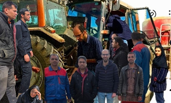 دامپروری هوشمند در پگاه فارس؛ جهش نوین در مدیریت تغذیه دام با فناوری بومی